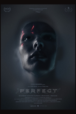 watch Perfect Movie online free in hd on MovieMP4