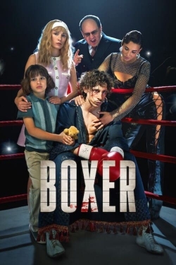 watch Boxer Movie online free in hd on MovieMP4