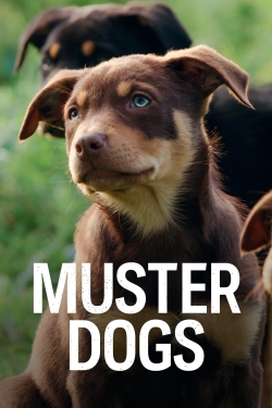 watch Muster Dogs Movie online free in hd on MovieMP4