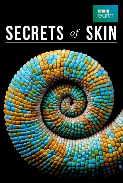 watch Secrets of Skin Movie online free in hd on MovieMP4