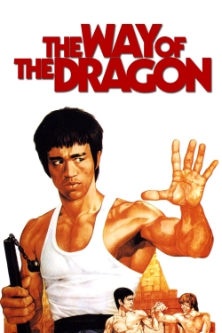 watch The Way of the Dragon Movie online free in hd on MovieMP4