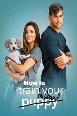 watch How to Train Your Husband Movie online free in hd on MovieMP4