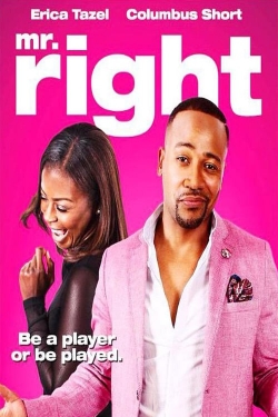 watch Mr. Right Movie online free in hd on MovieMP4
