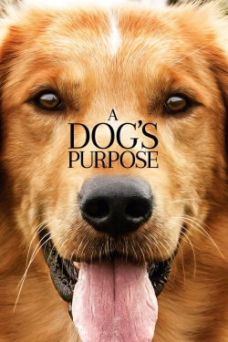 watch A Dog's Purpose Movie online free in hd on MovieMP4