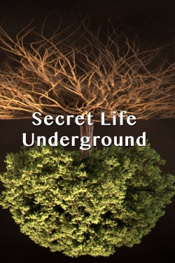 watch Secret Life Underground Movie online free in hd on MovieMP4