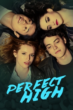 watch Perfect High Movie online free in hd on MovieMP4