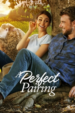 watch A Perfect Pairing Movie online free in hd on MovieMP4
