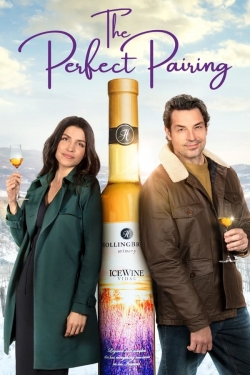 watch The Perfect Pairing Movie online free in hd on MovieMP4