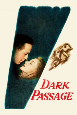 watch Dark Passage Movie online free in hd on MovieMP4