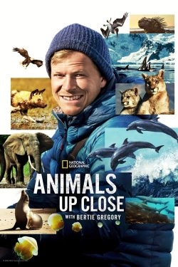 watch Animals Up Close with Bertie Gregory Movie online free in hd on MovieMP4
