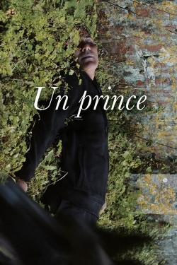 watch A Prince Movie online free in hd on MovieMP4