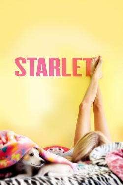 watch Starlet Movie online free in hd on MovieMP4