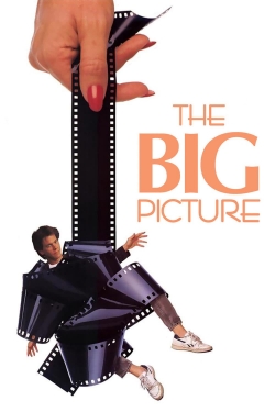 watch The Big Picture Movie online free in hd on MovieMP4