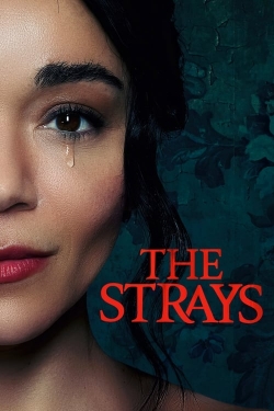 watch The Strays Movie online free in hd on MovieMP4