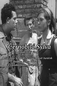 watch Black and White Sylva Movie online free in hd on MovieMP4