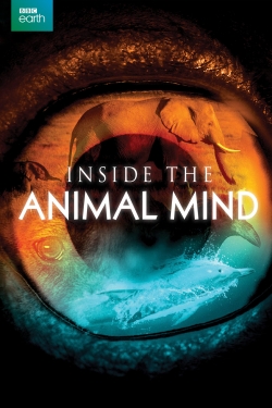 watch Inside the Animal Mind Movie online free in hd on MovieMP4