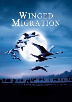 watch Winged Migration Movie online free in hd on MovieMP4