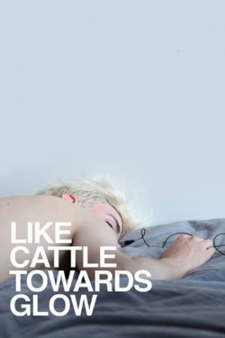 watch Like Cattle Towards Glow Movie online free in hd on MovieMP4