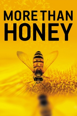 watch More Than Honey Movie online free in hd on MovieMP4