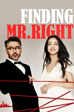 watch Finding Mr. Right Movie online free in hd on MovieMP4
