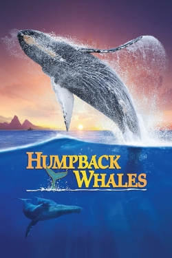 watch Humpback Whales Movie online free in hd on MovieMP4