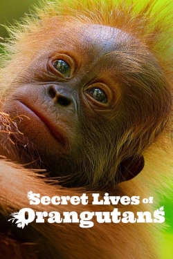 watch Secret Lives of Orangutans Movie online free in hd on MovieMP4