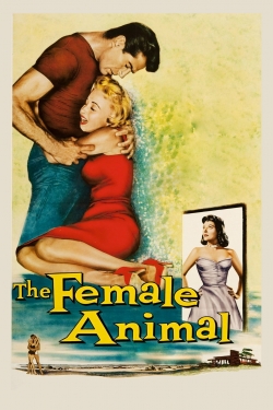 watch The Female Animal Movie online free in hd on MovieMP4