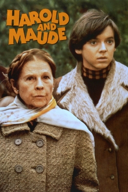 watch Harold and Maude Movie online free in hd on MovieMP4