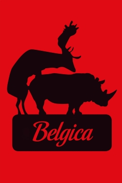 watch Belgica Movie online free in hd on MovieMP4