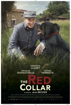 watch The Red Collar Movie online free in hd on MovieMP4