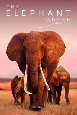 watch The Elephant Queen Movie online free in hd on MovieMP4