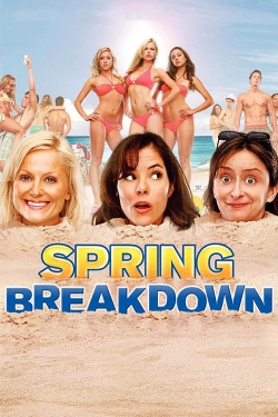 watch Spring Breakdown Movie online free in hd on MovieMP4