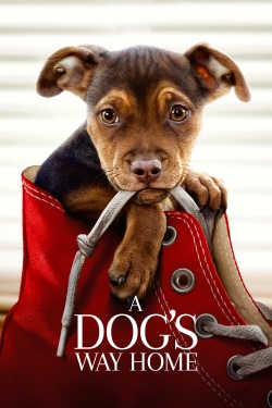 watch A Dog's Way Home Movie online free in hd on MovieMP4