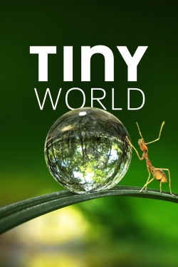 watch Tiny World Movie online free in hd on MovieMP4