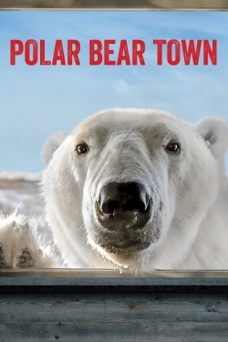 watch Polar Bear Town Movie online free in hd on MovieMP4