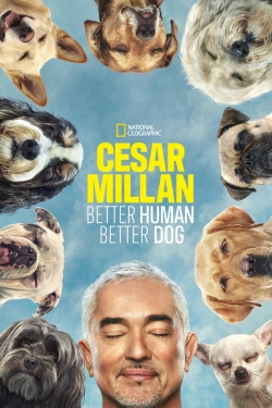 watch Cesar Millan: Better Human, Better Dog Movie online free in hd on MovieMP4