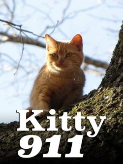 watch Kitty 911 Movie online free in hd on MovieMP4