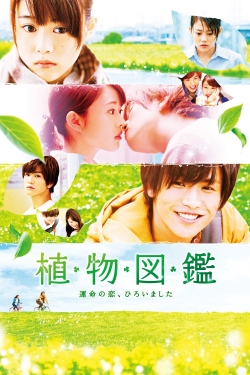 watch Evergreen Love Movie online free in hd on MovieMP4