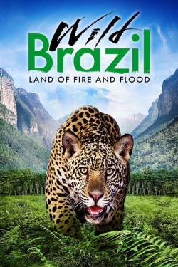 watch Wild Brazil Movie online free in hd on MovieMP4