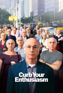 watch Larry David: Curb Your Enthusiasm Movie online free in hd on MovieMP4