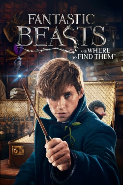 watch Fantastic Beasts and Where to Find Them Movie online free in hd on MovieMP4