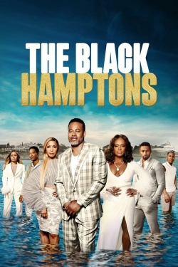 watch The Black Hamptons Movie online free in hd on MovieMP4