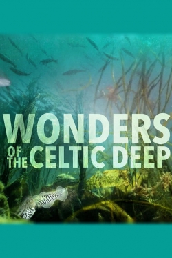 watch Wonders of the Celtic Deep Movie online free in hd on MovieMP4