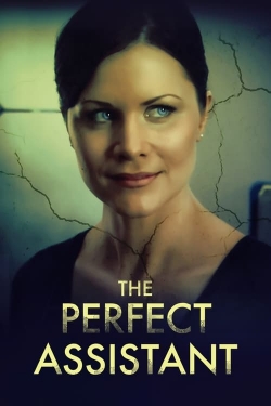 watch The Perfect Assistant Movie online free in hd on MovieMP4