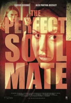 watch The Perfect Soulmate Movie online free in hd on MovieMP4