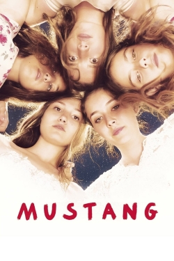 watch Mustang Movie online free in hd on MovieMP4