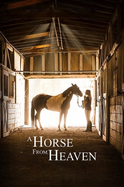 watch A Horse from Heaven Movie online free in hd on MovieMP4