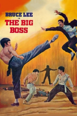 watch The Big Boss Movie online free in hd on MovieMP4