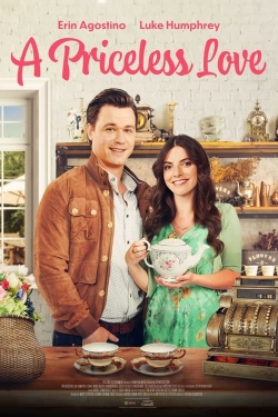 watch A Priceless Love Movie online free in hd on MovieMP4