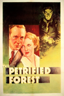 watch The Petrified Forest Movie online free in hd on MovieMP4
